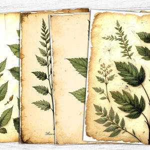 Botanical Junk Journal Papers, Botanical Art, Botanical Digital Papers, Botanical Papers, commercial use, Herbal Flowers, Digital Download