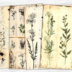 Botanical Junk Journal Papers, Botanical Ephemera, Botanical Papers, Digital Paper, Herbal Printable, Digital Collage Sheet, commercial use