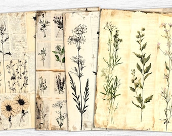 Botanical Junk Journal Paper: kruidenephemera, collagevel (digitaal papier)