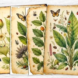 Papéis de diário botânicos de ervas, papéis digitais de borboletas, download digital, papéis de folhas de cogumelos, arte vintage de primavera, impressão de ervas
