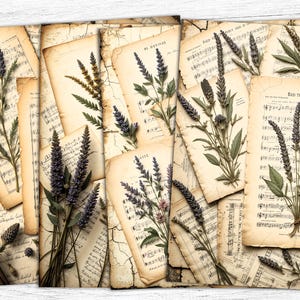 Papel de diário musical vintage, papéis digitais de lavanda, páginas de flores secas, download digital, impressão de manuscrito, uso comercial
