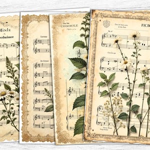 Vintage musikalisches Junk-Journal Papier, Vintage Sonnenblumen, Manuskriptseiten, alte Briefe, Vintage getrocknete Blume, Musikpapier, digitaler Download