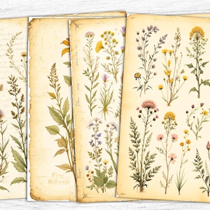 Carta da giornale botanica vintage, pagine di fiori secchi, download digitale, album di erbe aromatiche, piante naturali stampabili, appunti di campo antichi