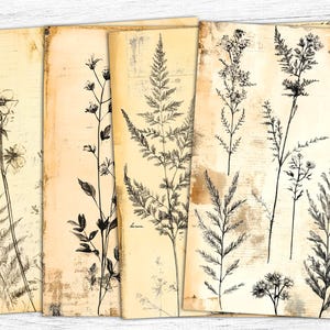 Papier pour carnet de notes botaniques, Contexte botanique, Papier botanique, Impression à base de plantes, Collage numérique, Téléchargement numérique