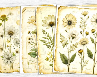 Daisy Flowers Junk Journal Papers: Vintage Spring Scrapbook Print (Digital Download)