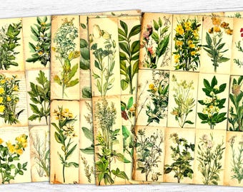 Botanical Junk Journal Papers: Greenery Collage Sheets (Digital Download)