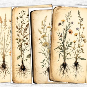 Botanical Junk Journal Papers, Herbal Digital Papers, Herbal Pages, Vintage Botanical, Digital Download, Botanical Pages, Garden Papers