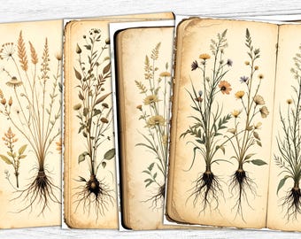 May include: A series of vintage botanical prints displaying detailed illustrations of wildflowers and grasses. The artwork depicts various plant species with their roots, stems, leaves, and flowers, rendered in soft, earthy tones against aged paper backgrounds.