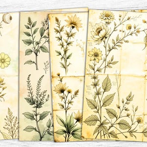 Getrocknete Blumen Junk Journal Papiere, Botanische Papiere, Vintage Botanische, Kräuterdruck, Digital Download, Botanisches Papier, Floral bedruckbar