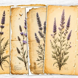 Lavendel Junk Journal Papiere, getrocknete Blumen, Vintage Lavendel Papiere, alte Papiere druckbare, digitaler Download, Lavendel Junk Journal Kit