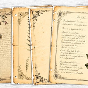 Papel de diário vintage, páginas de flores, impressão de diário, arte botânica, download digital, uso comercial, páginas de cartas