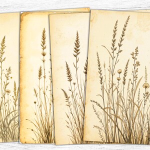 Papéis de diário botânicos vintage, papéis digitais florais, imprimíveis de ervas, download digital, impressão de ervas, flores vintage da primavera