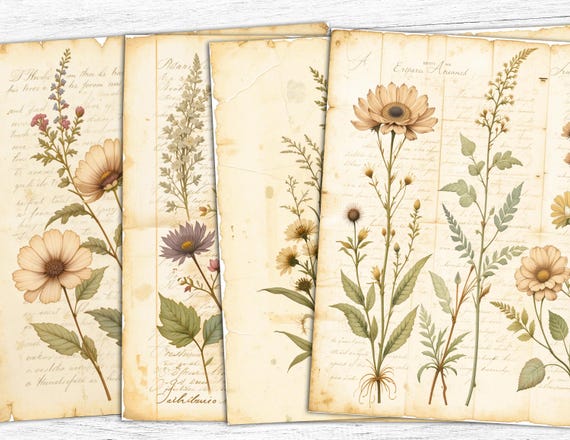 Vintage Botanical Paper Ephemera: Herb Scrapbook Collage (Digital Download)