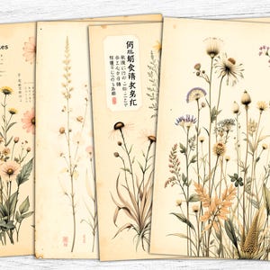 Papel de diario vintage con flores secas, fondo de flores secas, imprimible floral seco, arte floral, descarga digital, uso comercial