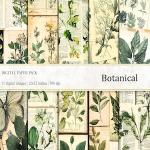 Papeles digitales botánicos, papeles botánicos, papel de diario botánico, arte botánico, fondo de hierbas, imprimible botánico, descarga digital