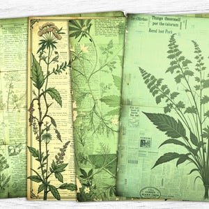 Botanical Junk Journal Papers, Vintage Botanical, Green Collage Sheet, Green Leaf Floral, Herbal Botanical Printable, Digital Download