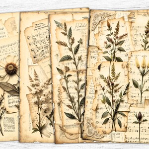 Papeles de diario botánico, flores secas imprimibles, papeles florales digitales, papeles florales, flores musicales vintage, descarga digital