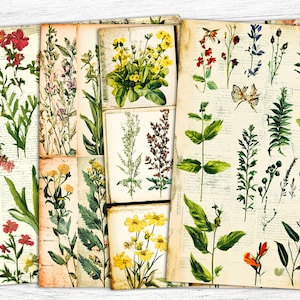 Papiers botaniques indésirables, botanique vintage, feuille de collage numérique, plantes florales vintage, papier de fines herbes, collage botanique, papiers de fines herbes