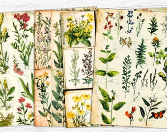 Vintage Botanical Junk Journal Papers: Floral Collage Sheets (Digital Download)
