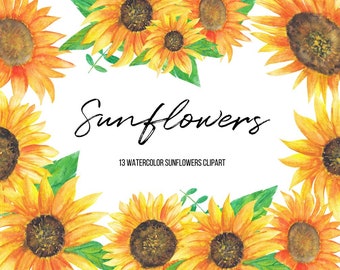 Aquarell Sonnenblumen Clipart, Sonnenblumen Illustrationen, gelbe Blumen, florale Illustration Sonnenblumen Kunst, kommerzielle Nutzung