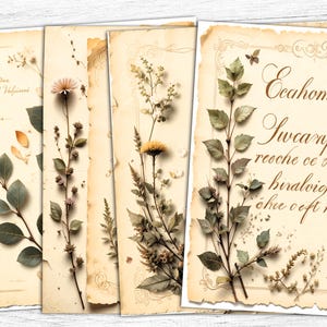 Vintage getrocknete Blumen Junk-Journal-Papier, getrocknete Blumen druckbare, botanische druckbare, Blumenkunst, digitaler Download, kommerzielle Nutzung