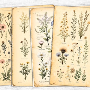 Carta per diario con fiori primaverili, arte floreale primaverile, stampa botanica con fiori, carta floreale scandinava, download digitale, uso commerciale