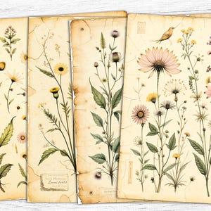 Papéis de diário vintage com flores, páginas florais, para impressão vintage, impressão de ervas, download digital, papel botânico, impressão floral