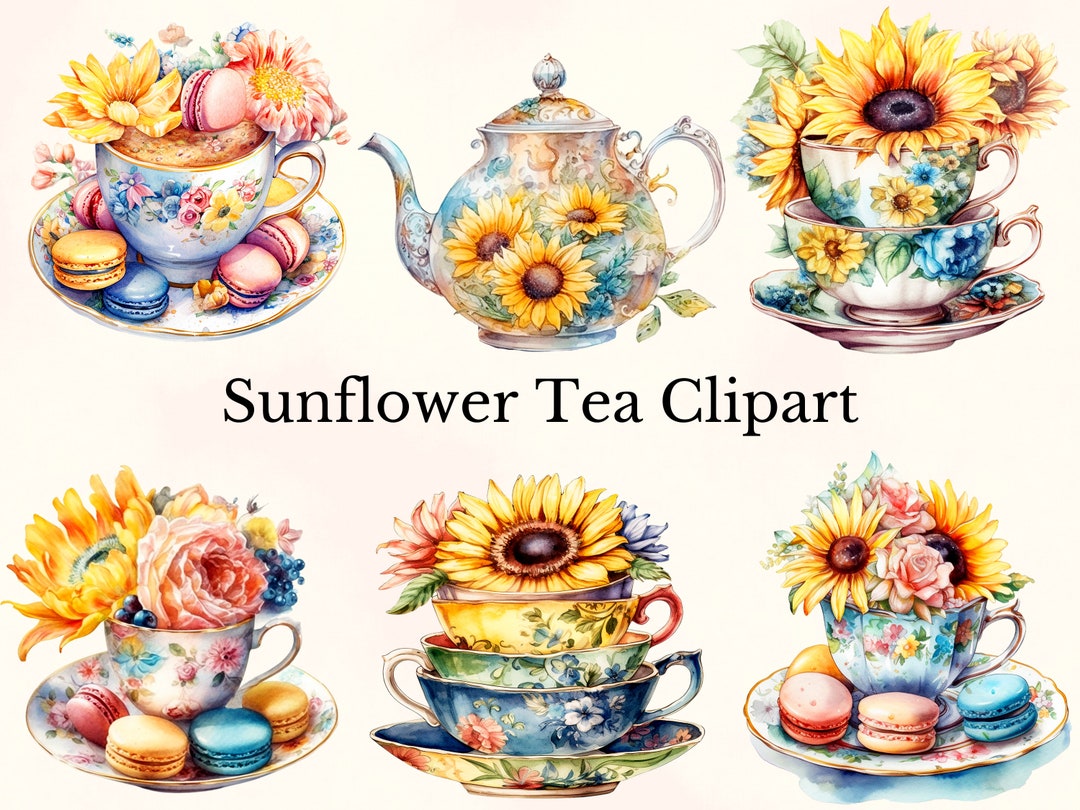 Sunflowr Tea Watercolor Sunflower Tea Clipart: 14 PNG Art Images (commercial Use) - Etsy