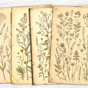 Botanische dagboekpapieren, afdrukbare lente, digitaal bloemenpapier, bloemenpapier, lentepapier, botanische bloemen, digitale download