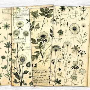 Carta da giornale vintage con erbe aromatiche, stampabile botanica, download digitale di erbe, sfondo con fiori di campo, pagine di copertina del libro