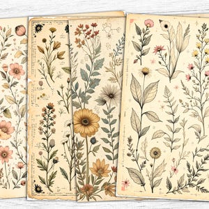 Papier journal vintage floral indésirable, botanique floral imprimable, téléchargement numérique floral, fond de fleurs sauvages, papiers floraux printemps Scandi