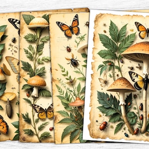 Papéis de diário de borboletas botânicas, papel digital de cogumelos, arte de borboletas, jardim vintage, arte de ervas para impressão, download digital