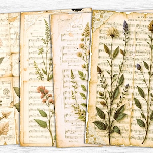 Papéis de diário de flores secas, papéis musicais vintage, imprimíveis vintage, impressão musical, download digital, papel botânico, arte floral