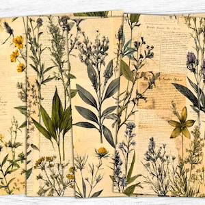 Botanical Junk Journal Paper, Vintage Ephemera, Botanical Collage Sheet, Vintage Herb Paper, Botanical Collage, Botanical Print, Digital Art