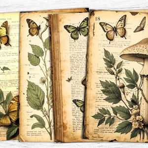 Carta da giornale vintage botanica, carta digitale vintage a tema funghi, download digitale, pagina manoscritta, foglia vintage, stampabile con erbe aromatiche