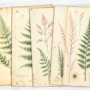 Fougère botanique indésirable journal papiers, art floral fougère, fougère papiers numériques, fougère imprimable, fleur botanique, téléchargement numérique, usage commercial