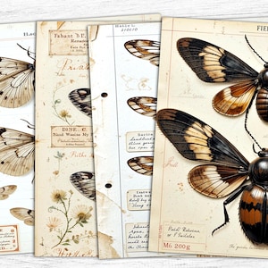 Butterfly Junk Journal Papers, Butterfly Papers, Digital Download, Herb Botanical Papers, Vintage Ephemera, Printable Pages