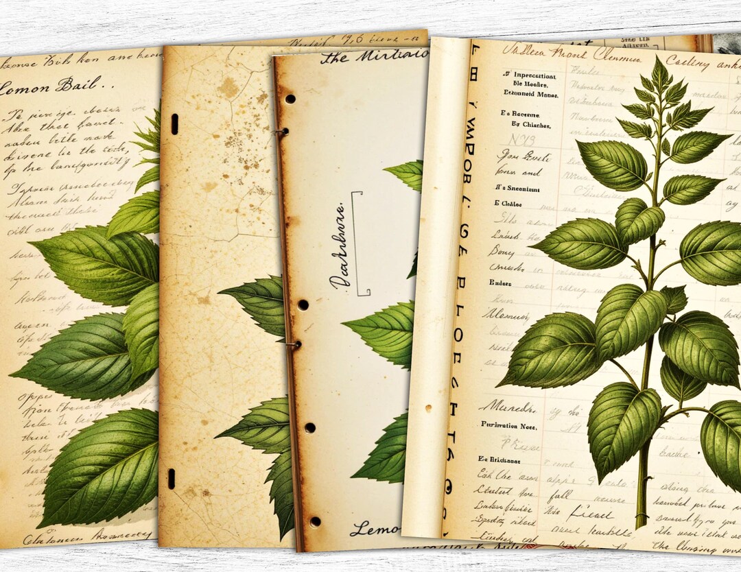 Vintage Botanical Junk Journal Papers: Herb Printable Art (digital ...
