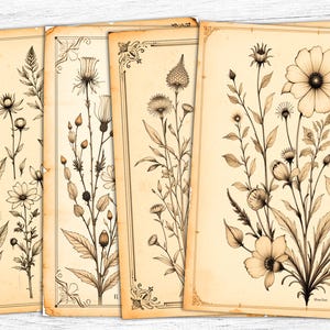 Vintage Floral Junk Journal Papers, Botanical Floral Background, Flowers Papers, commercial use, Flowers Printable, Digital Download