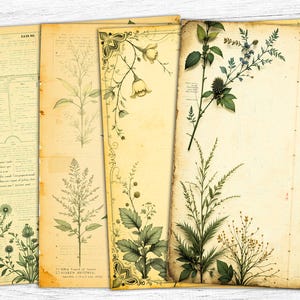 Papiers pour journal indésirable aux herbes botaniques, papiers vintage à base de plantes, botanique imprimable, feuille de collage à base de plantes, impression de la nature à base de plantes, téléchargement numérique