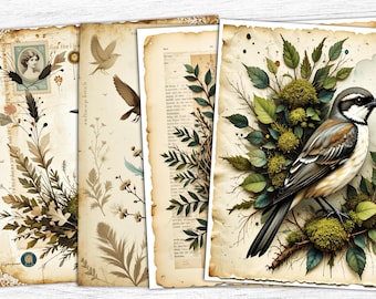 Vintage Birds Junk Journal Papers: Botanical Ephemera (Digital Download 12x12 PNGs)