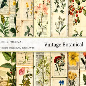 Vintage Botanisches Digitales Papier, Botanisches Papier, Kräuterkunde Druck, Vintage Blumen Pflanzen, Kräuter Papier, Botanische Collage, Junk Journal Papier