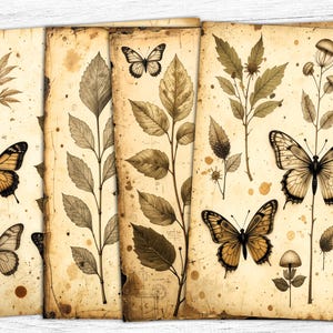 Papiers papillon indésirable pour journal, feuilles botaniques, papiers numériques, téléchargement numérique, art botanique, papillon vintage, pages de papillon