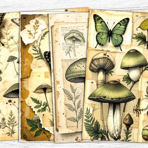 Carta per diario botanico vintage, carta digitale a farfalla verde, pagine di erbe aromatiche, stampabile botanico vintage, pagine di farmacia, uso commerciale