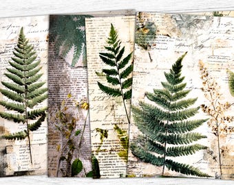 May include: A collage of botanical prints featuring green fern leaves and other plant elements. The prints are set against a backdrop of aged paper with handwritten script, creating a vintage aesthetic. The color palette includes shades of green, beige, and brown.