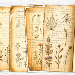 Papel de diário para itens efêmeros, folhas para impressão, papéis de flores secas, fundo de páginas de cartas, páginas de capa de livro, papel vintage, uso comercial
