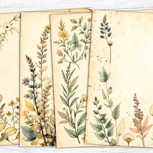 Carta da giornale vintage con erbe aromatiche, stampa floreale vintage, stampa botanica, effimeri floreali, giornale botanico, floreale vintage