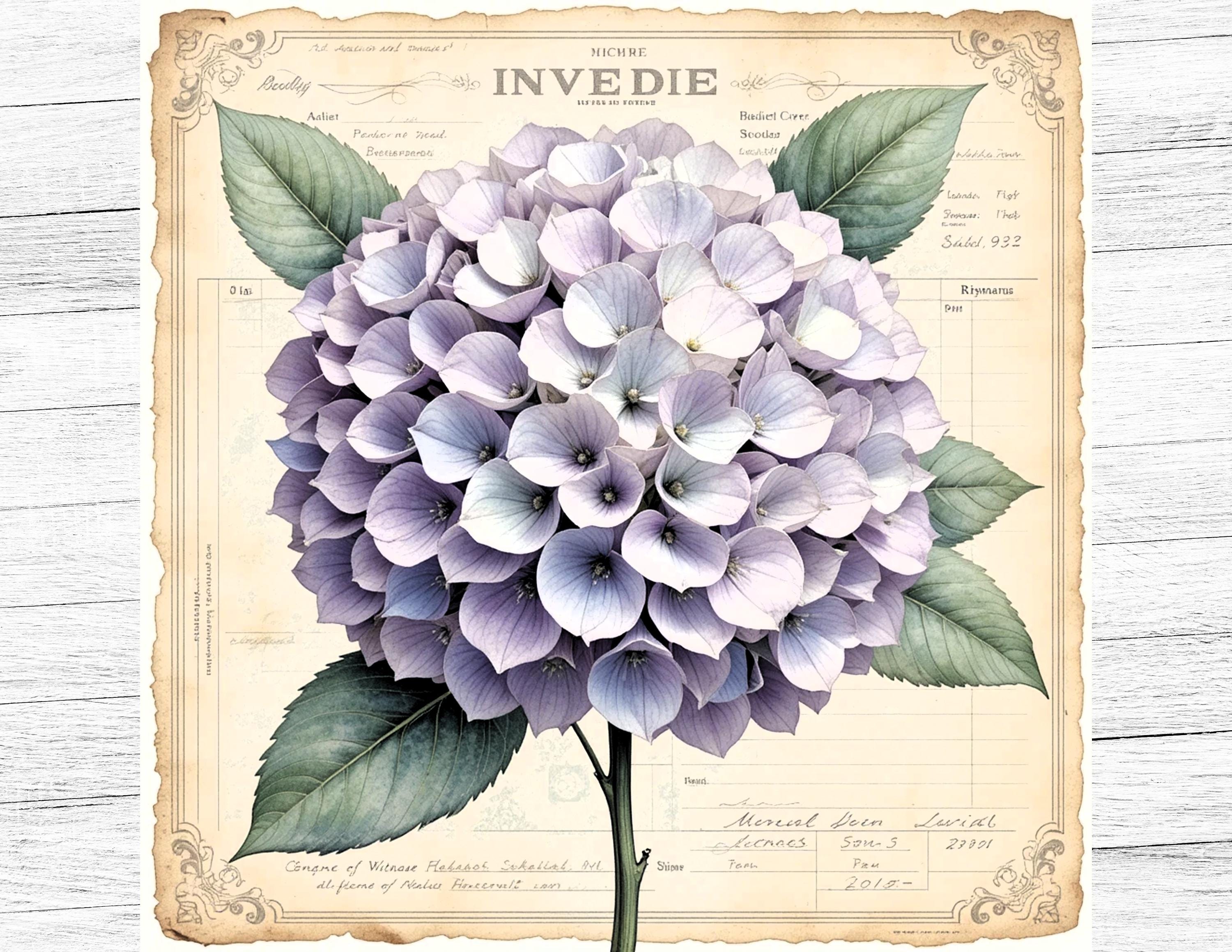 Hydrangea Junk Journal Paper, Vintage Wedding Flowers Background ...