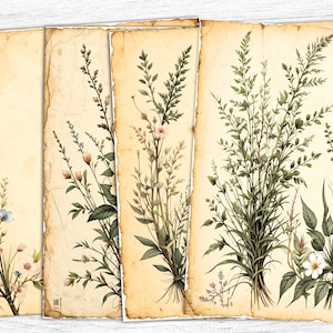 Getrocknete Blumen Junk Journal Papiere, Botanische digitale Papiere, Blume druckbare, digitaler Download, Frühling Blumen druckbare, Vintage Kräuterkunst