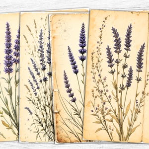 Papier pour journal indésirable lavande, pages de manuscrit, fleurs violettes imprimables, art vintage, téléchargement numérique, usage commercial, lavande imprimable